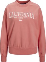 JJXX JXBEATRICE LS LOOSE VINT SWEAT NOOS Dames Trui - Maat L