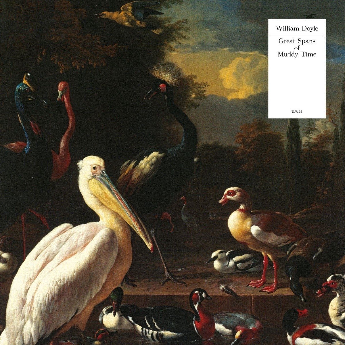 William Doyle - Great Spans Of Muddy Time (LP) (Coloured Vinyl)