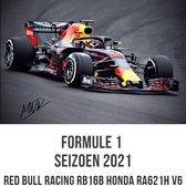 Allernieuwste Canvas Schilderij RB 16B 2021 Max Verstappen F1 Wereldkampioen Formule 1 - Red Bull Racing - kleur - 50 x 70 cm