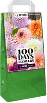 Jub Holland bloembollen - 5st Dahlia Jumbo mix in draagtas - zomerbloeiend
