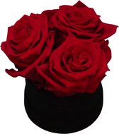 Fleurs de ville - Flowerbox met longlife rozen - 3 rode rozen - Zwarte box velvet