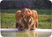 Muismat Tijger Rubber - Hoge kwaliteit foto van tijger - Muismat op polyester bedrukt - 25 x 19 cm - Anti-slip muismat - 5mm dik - Muismat met foto - heerlijk voor op je bureau