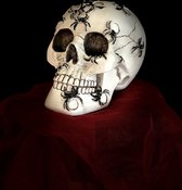 Doodshoofd spinnen 18.5 cm hoog - Skelet - Skull - Skeleton - Halloween - Griezel - interieurdecoratie - accessoire - voor binnen - gift - geschenk - cadeau - verjaardag - Kerst - Nieuwjaar