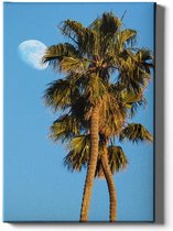 Walljar - Palmbomen En Maan - Muurdecoratie - Canvas schilderij