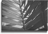 Walljar - Close-up Plant - Muurdecoratie - Canvas schilderij