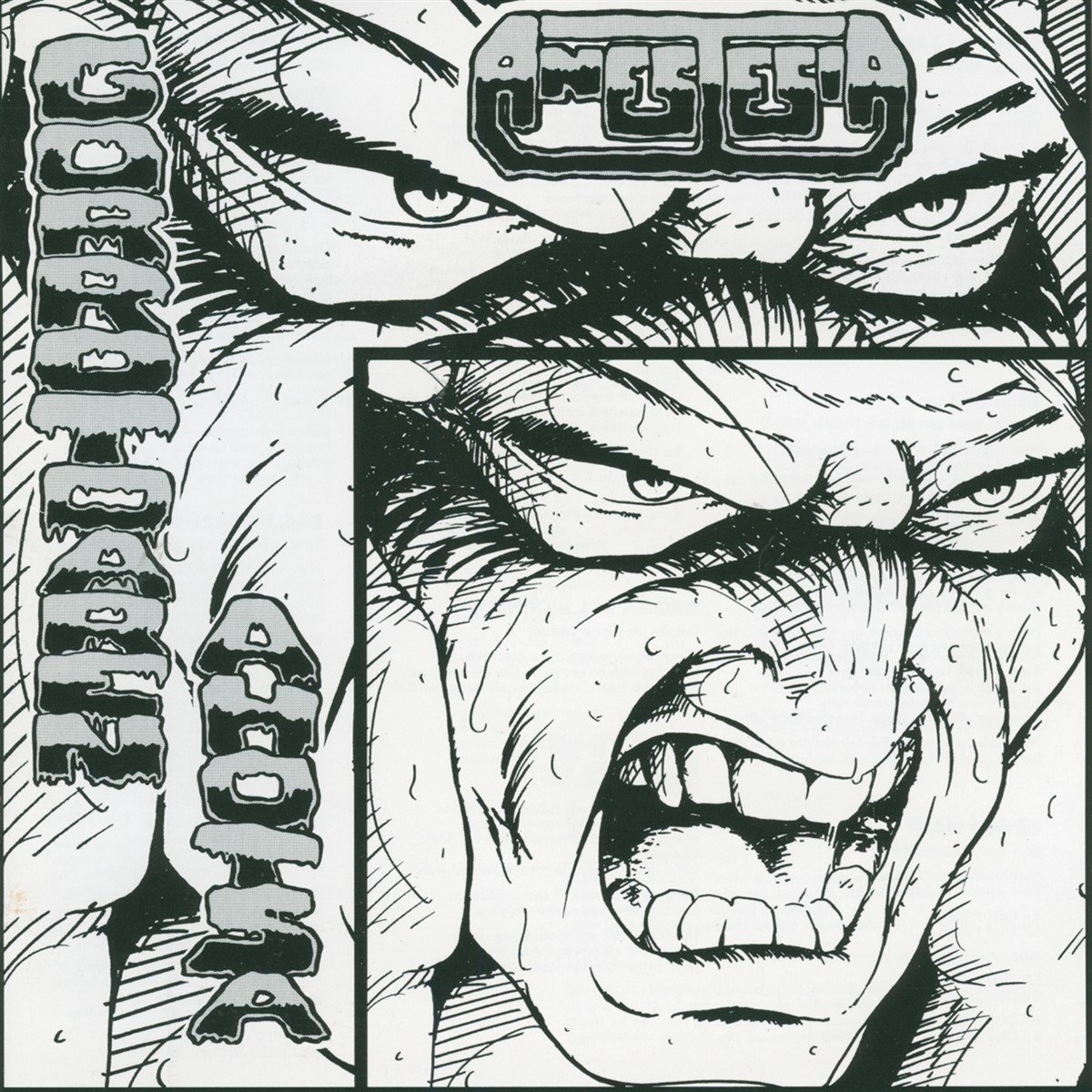 Anestesia - Gorrotoaren Ahotsa (LP)