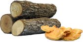 Zwavelzwam stammetje - kweek zelf paddenstoelen - Ø10-15cm X 40 cm