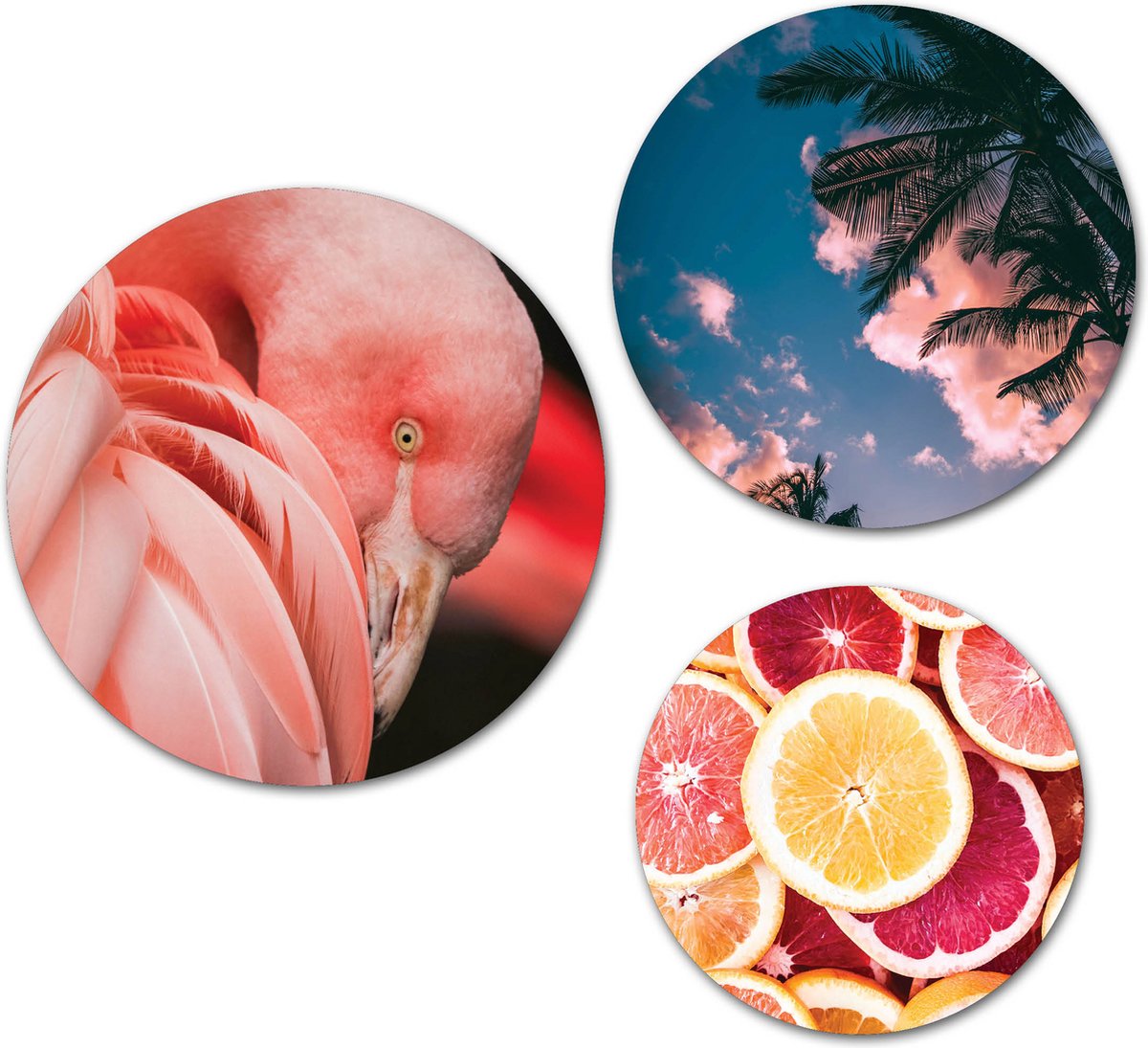 Forex Muurcirkel Set - Set Flamingo - Set van 3 Wandcirkels met Ophangsystemen - 25x30x35