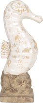 Decoratie Zeepaardje 16*9*35 cm Beige Terracotta Decoratief Figuur Decoratieve Accessoires Woonaccessoires