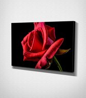 Red Flower Canvas - 60 x 40 cm - Bloemen - Schilderij - Canvas - Slaapkamer - Wanddecoratie  - Slaapkamer - Foto op canvas
