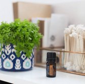 doTERRA Motivate (Nieuwe moed) | 5ml | Blended | Etherische Olie