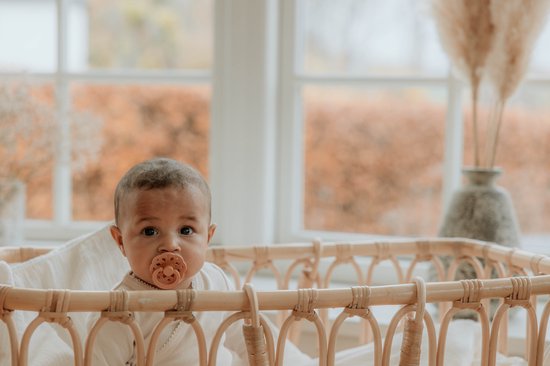 BiBS - Boheme Pacifier - Stage 1 Fopspeen - 2 stuks - Vanilla / Peach van BIBS — afbeelding 3