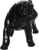 Hond - Sculpture bulldog 21-j zwart