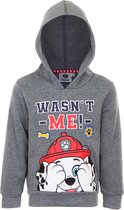 Paw Patrol - trui - Marshall - grijs - Maat 110 - jongens - kinderkleding
