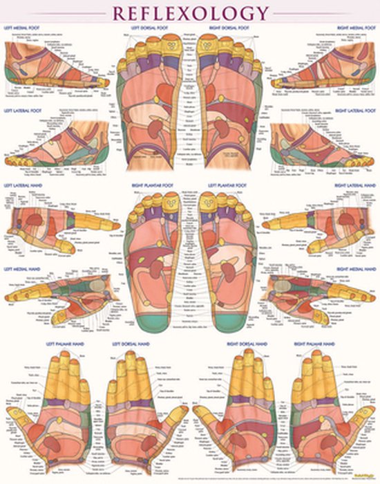 Reflexology-Laminated - cover