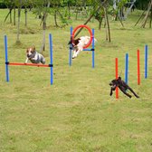 Paws Honden agility parcours rood/blauw
