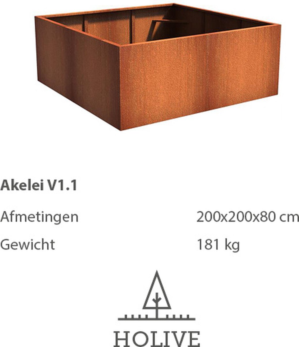 Cortenstaal Akelei V1.1 Vierkant 200x200x80 cm. Plantenbak