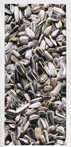 Deursticker Close up van witte zonnebloempitten - 80x215 cm - Deurposter