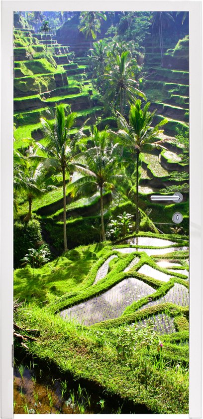 Foto: Deursticker spectaculaire rijstvelden ten noorden van ubud 95x235 cm deurposter