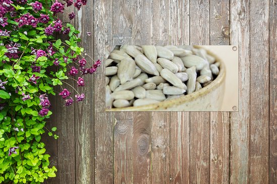 Poster de jardin Bol plein de graines de tournesol de couleur blanche - 80x40 cm - Décoration murale Outdoor - Poster de jardin - Toile de jardin - Poster de clôture - Tableau de jardin