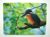 Placemat IJsvogel in 3D