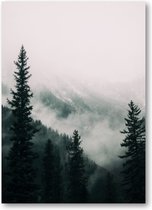 Hoge bomen in het bos in de bergen bedekt met de mist - 50x70 Poster Staand - Besteposter - Landschap