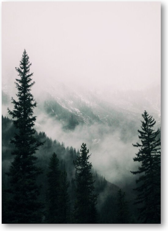 Hoge bomen in het bos in de bergen bedekt met de mist - 50x70 Poster Staand - Besteposter - Landschap