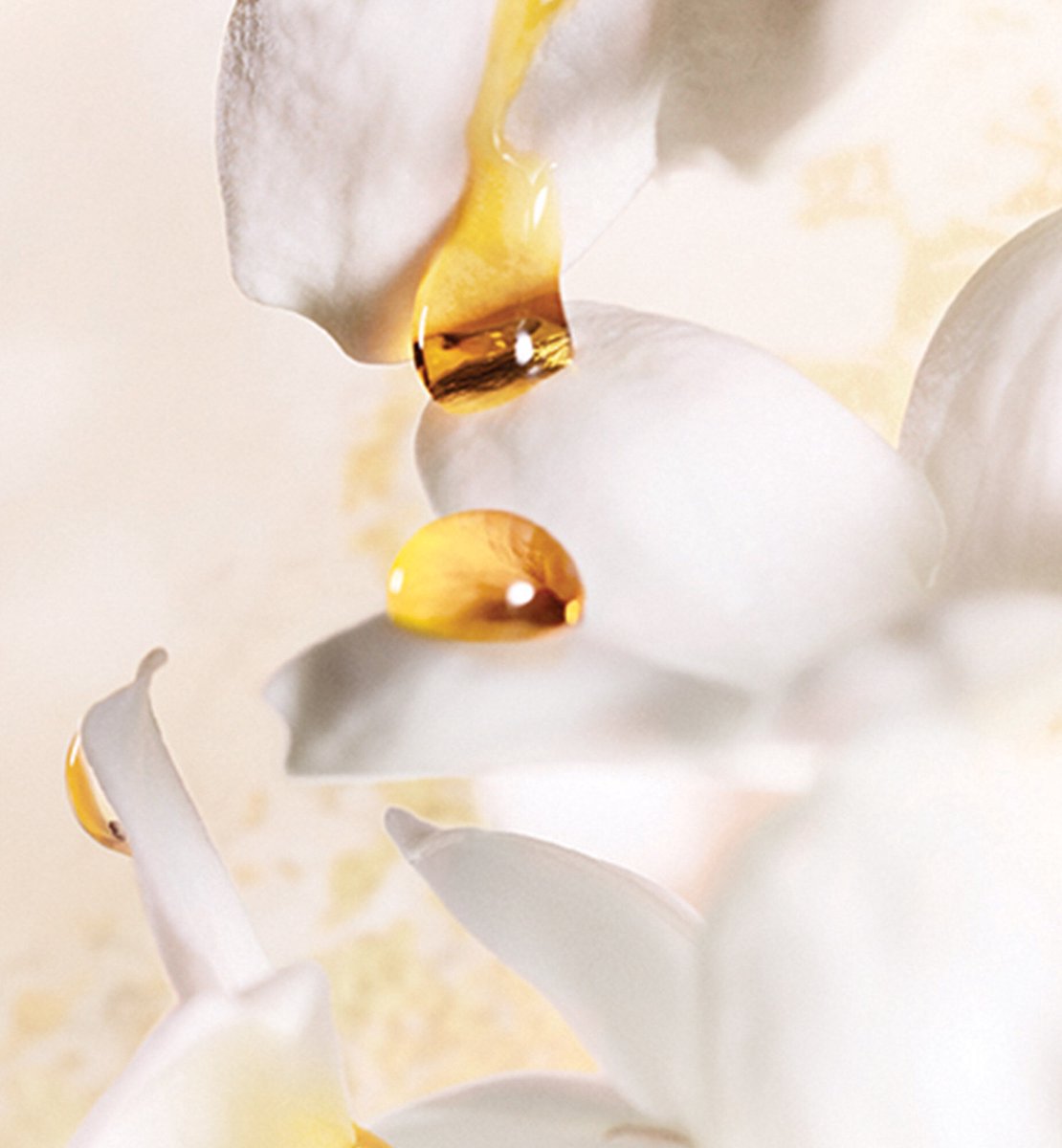 Dior J'adore 150 ml Eau de Parfum - Damesparfum – foto 2
