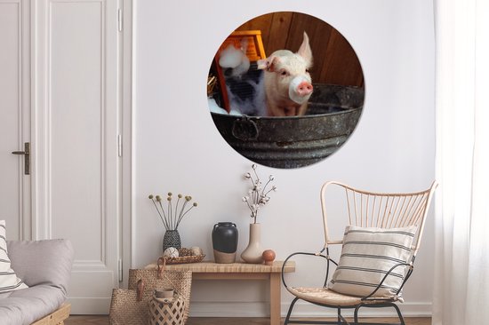 WallCircle - Wall Circle - Wall Circle Indoor - Cochon Lavé - 120x120 cm - Décoration murale - Peintures Ronds XXL