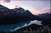 Walljar - Peyto Lake - Muurdecoratie - Poster met lijst