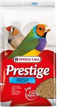 Prestige Tropische Vogel