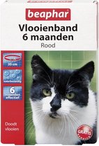 Beaphar Vlooienband Kat - Rood - 1 Stuk