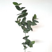 2x Eucalyptus Green small leaves 90cm - Kunsttak Eucalyptus groen 90cm
