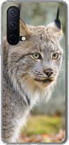 Geschikt voor OnePlus Nord CE 5G hoesje - Lynx - Bos - Grijs - Siliconen Telefoonhoesje