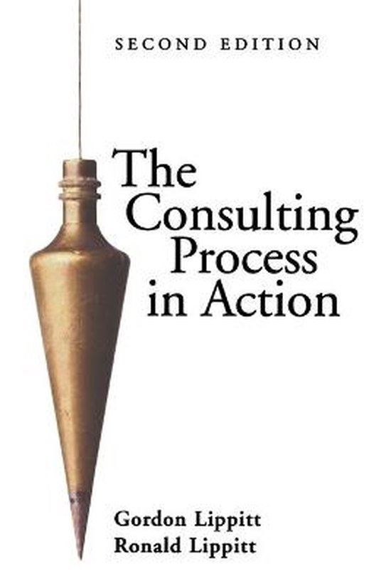 Consulting Process In Action - cover