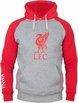 grijze hoodie Liverpool FC maat Small