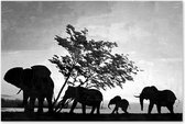 Éléphants - Silhouette éléphant - Zwart Wit - Peinture sur toile