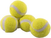 JOLLY DOGGY MINI TENNISBAL 5ST