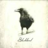 Blackbird Ep