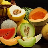 Meloen zaden - Meloen gemengde soorten