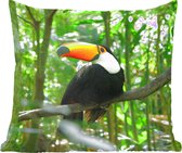 Coussins décoratifs - Oreillers Coussins décoratifs - Toucan dans l'arbre