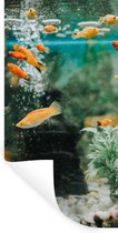 Muurstickers - visjes in een aquarium - 40x80 cm - Plakfolie