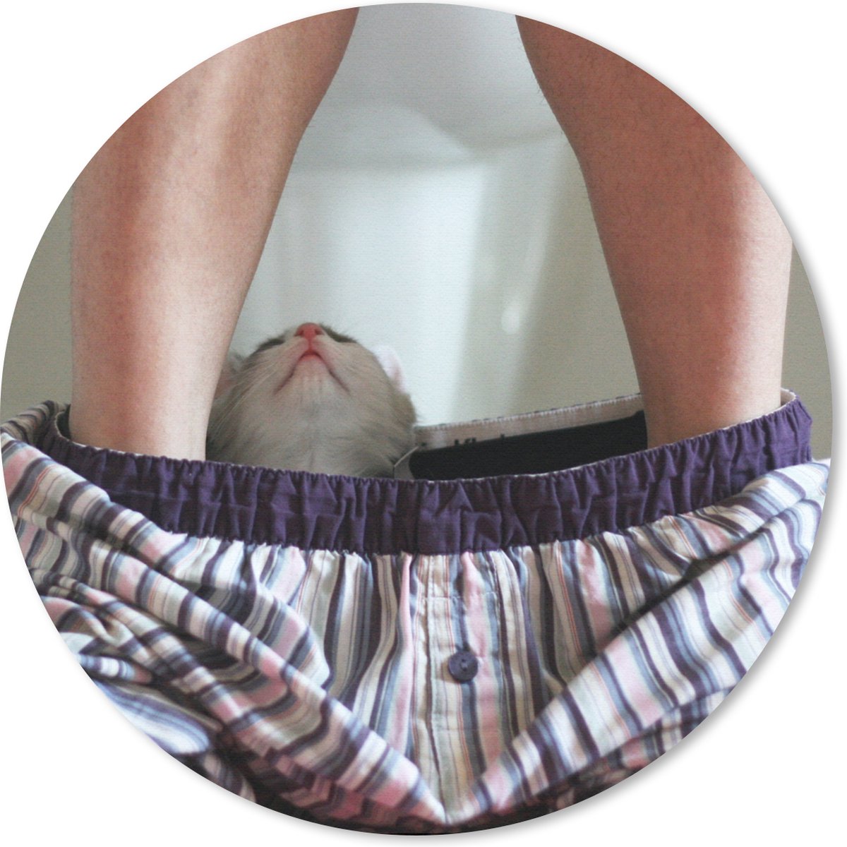 Muismat rond 30x30 cm - Mousepad Kat - Broek - Toilet - Ronde muismatten