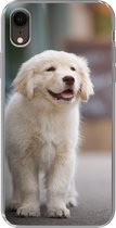 Geschikt voor iPhone XR hoesje - Een Golden Retriever puppy lopend op de stoep - Siliconen Telefoonhoesje
