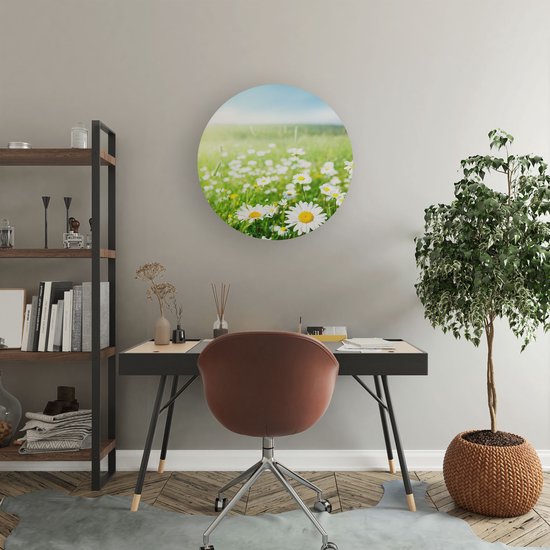 Artaza Dibond Cercle Mural Champ De Fleurs Champ De Marguerites - Fleurs - Ø 50 cm - Klein - Cercle Mural - Tableau Rond - Pour Intérieur et Extérieur