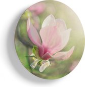Artaza Houten Muurcirkel - Roze Magnolia Bloem  - Ø 60 cm - Multiplex Wandcirkel - Rond Schilderij