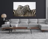 Canvas Schilderij | Dieren | zebra’s | 100x70 cm | 3 cm