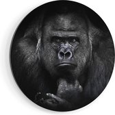 Artaza Dibond Muurcirkel Gorilla - Zwart Wit - Ø 70 cm - Wandcirkel - Rond Schilderij - Voor Binnen en Buiten