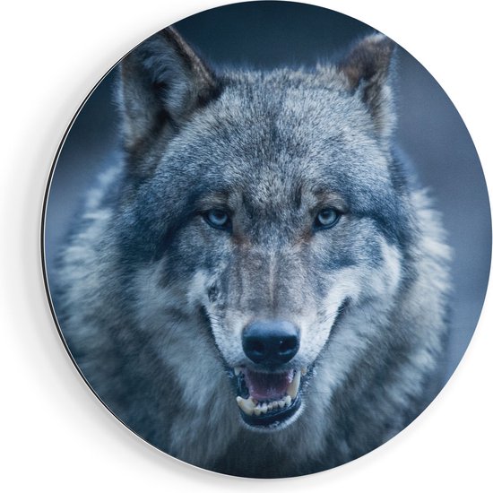 Artaza Dibond Cercle Mural Tête de Loup Aux Yeux Bleus - Loup - Ø 70 cm - Cercle Mural - Tableau Rond - Pour Intérieur et Extérieur