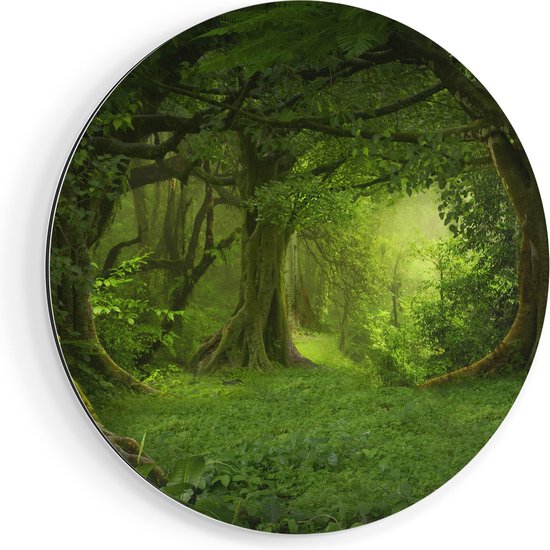 Artaza Dibond Muurcirkel Groene Tropische Jungle Bos  - Ø 60 cm - Wandcirkel - Rond Schilderij - Voor Binnen en Buiten